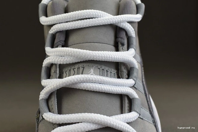 Grey Low Jordan 528895-003 Cool Air 11 0821